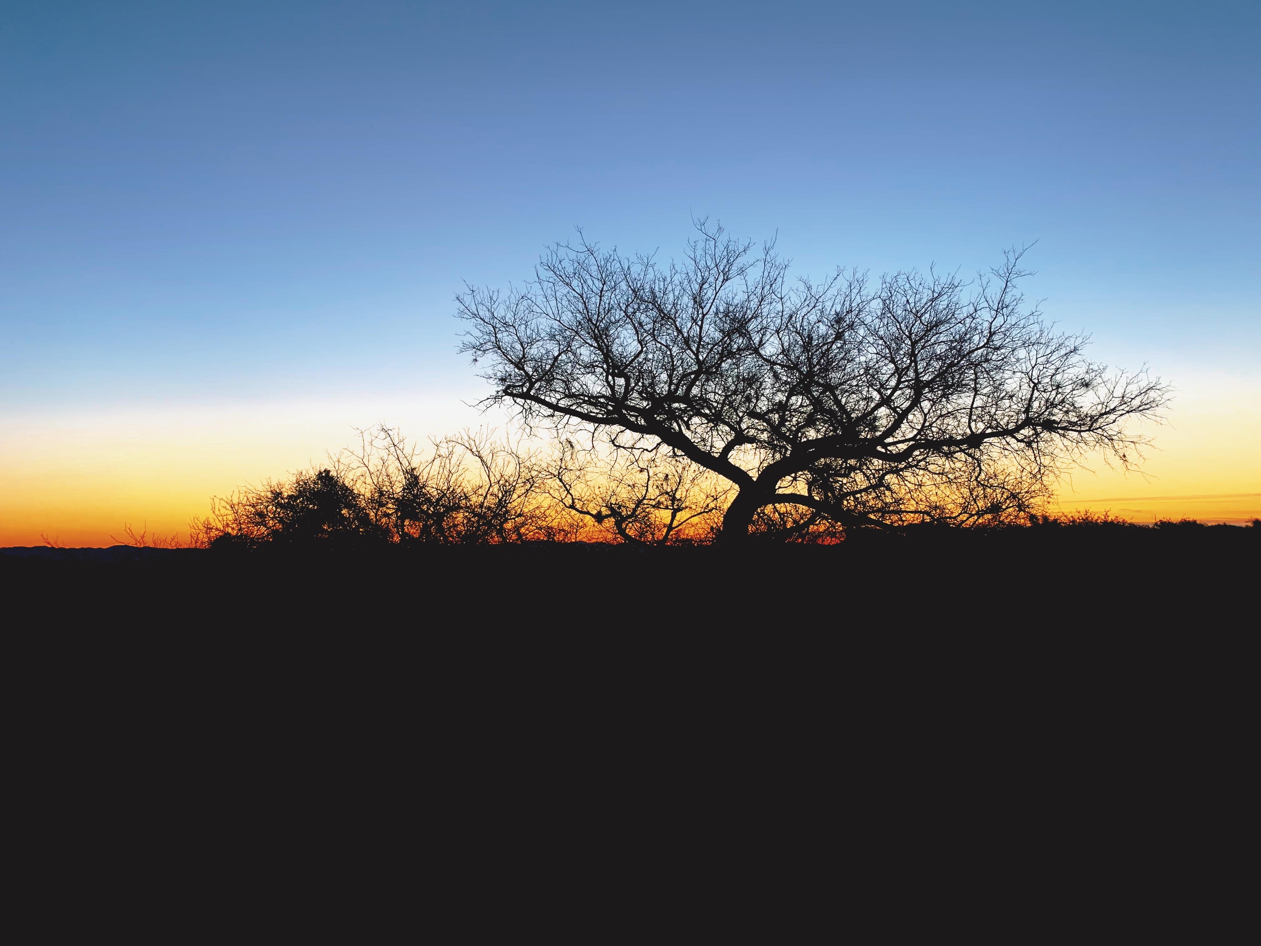 ArizonaSunrise