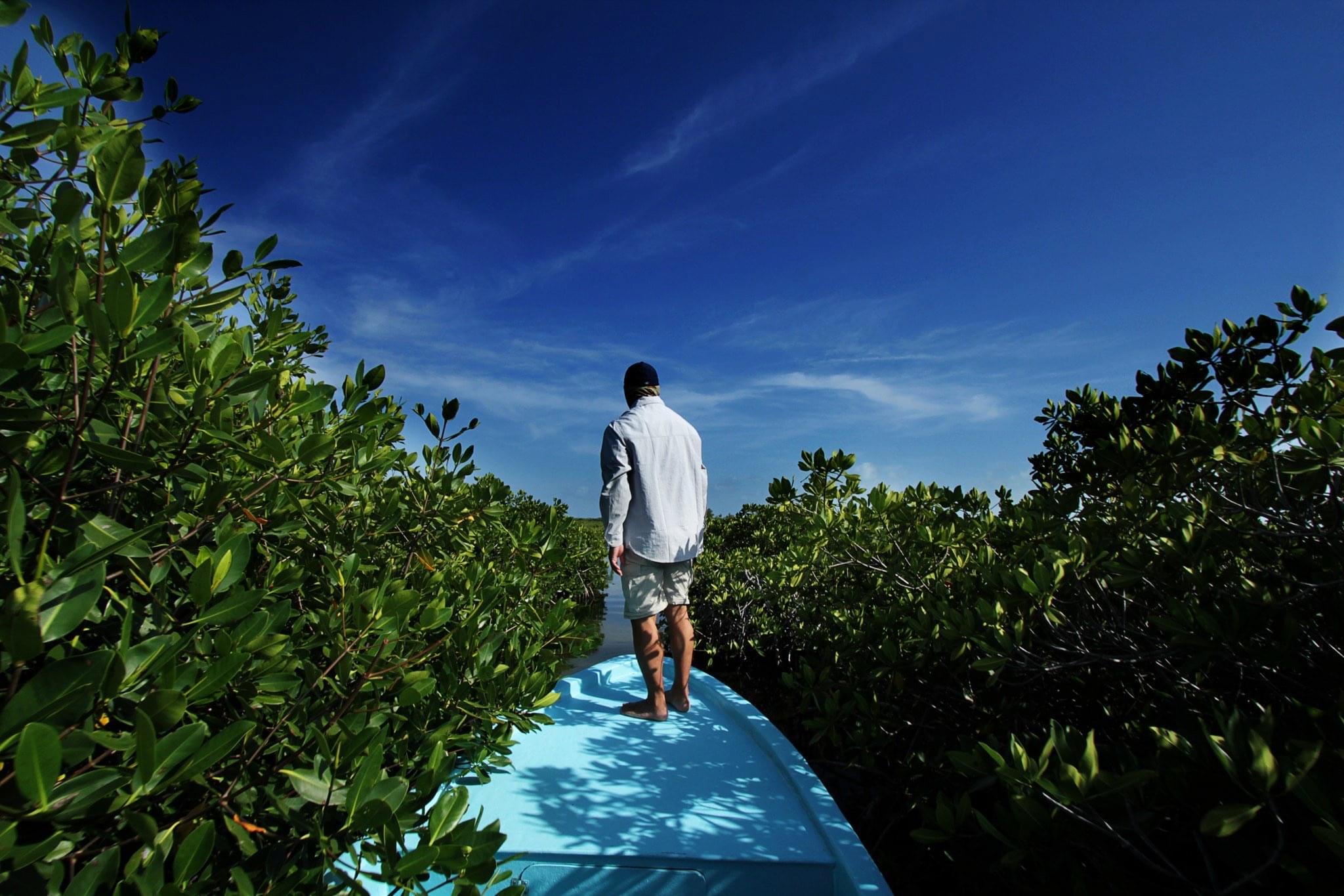 BelizeanMangrove